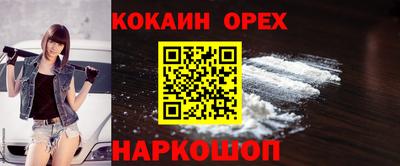 гашик Будённовск