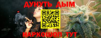 гашик Будённовск