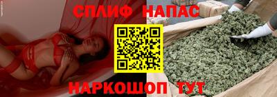 гашик Будённовск